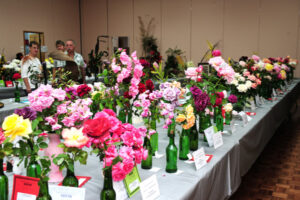 Autumn show to bloom again