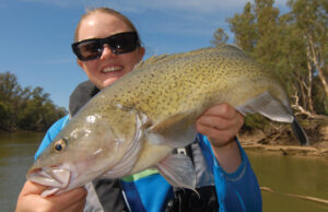 Cod Tales: Trout cod eager for chicken