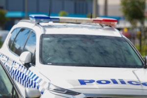 Driver forced police to jump to safety