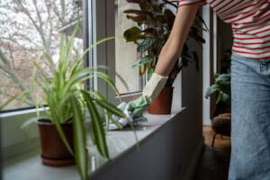 Spring cleaning & maintenance: Must-dos for Victorian homeowners