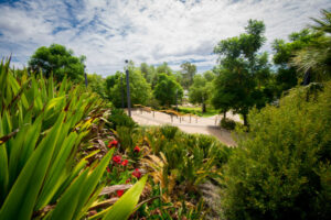 Celebrity ambassador to promote Mildura
