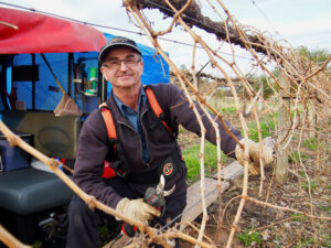 Viticulture workshop