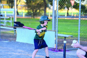 Baseball come and try day