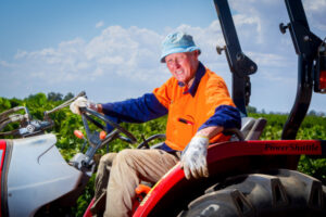 Sunraysia irrigators fear being left high and dry