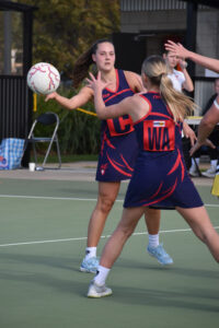 TIGERS building despite loss to Dees