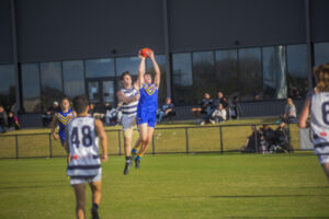 Swallows hit a new high with demolition of South Mildura