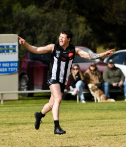 Magpies come back to keep Tigers at bay