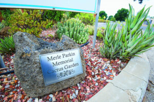 Dedicated U3A member honoured