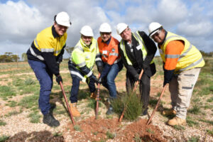 NSW electricity grid project sparks to life