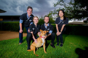 New Mildura vets getting to know the animals