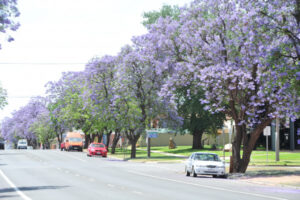 Red Cliffs health pilot is a boon