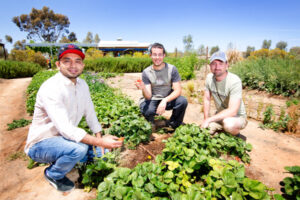 Mildura Eco Village opens up on sustainable living