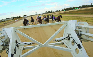Ouyen harness racing: Gavin Lang stable makes running