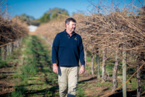 Wine harvest ‘sensational’