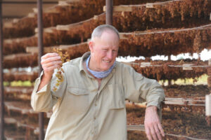 Murray-Darling Basin Plan: Victorian growers could lose out