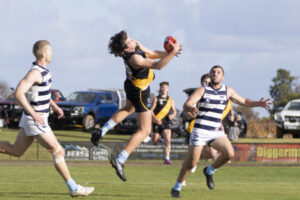 Tuifao terrific for Tigers