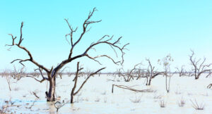 ‘What’s another $50 million?’