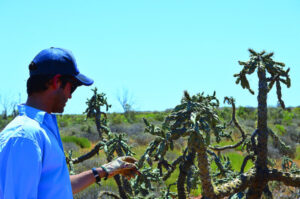 Weed control funding