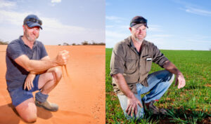 With a little rain, Millewa farms go from lean to green