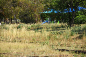 V/Line land upkeep off the rails