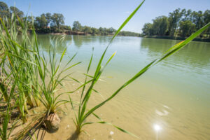 NAIDOC Week healing can be good for all