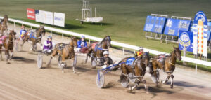 Mildura welcomes larger harness racing fields