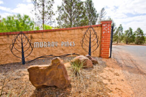 Mildura Cemetery Trust faces big changes after council vote