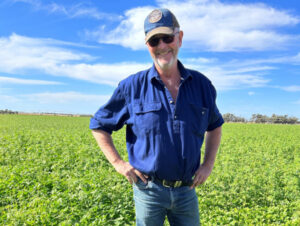 Farmers commit to industrial hemp crop