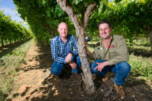 Water optimisation offers relief to irrigators