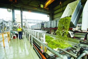 Treasury Wine Estates to close