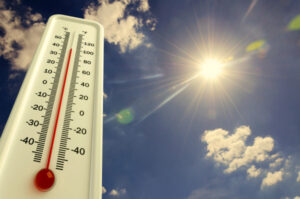 Hotter, dryer summer recorded