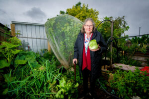 Garden therapy overload