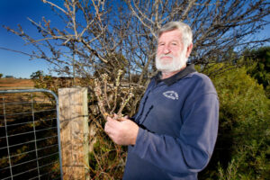 Sunraysia borders will be buzzing, says apiarist