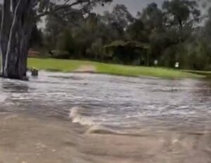 Levee breach on 8th at Riverside Golf Club