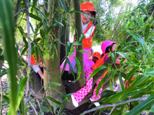 Every day is an adventure at De Garis Kindergarten
