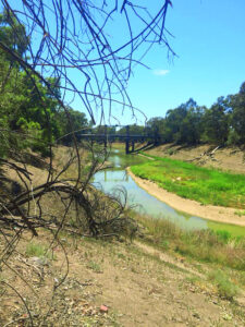 Royal Commission will clear murky waters