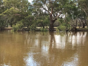 Menindee ‘kept in the dark’ about lakes releases