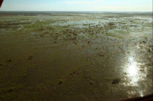 Floodplains under threat from constraints, says scientist