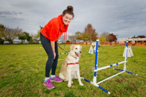 Man’s best friend has a fun day out