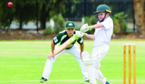 T20 for juniors touted