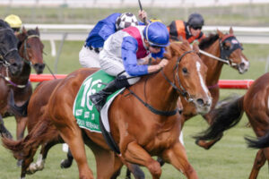 Mildura couple taste Group 1 glory