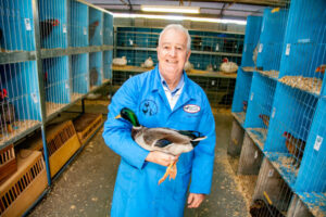 Bird fans all a flutter at show title