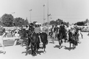 Down the years: New trotting track brings change to Mildura Show