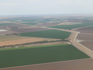 Australian farmland value rose in 2019