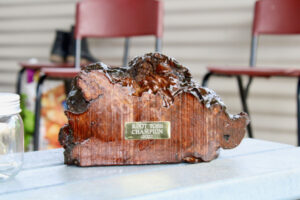 Mallee Festival taking root thanks to funding