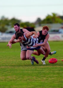 Dogs desperate comeback sinks Pies