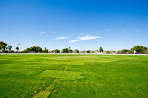 City Oval gets the all-clear