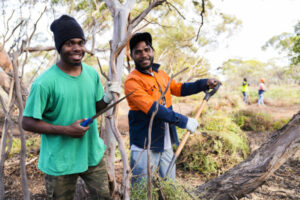 Islanders volunteer to help gardens