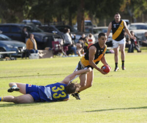 Irymple to try and catch the Tigers on the go