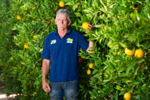 Orange producers under the squeeze